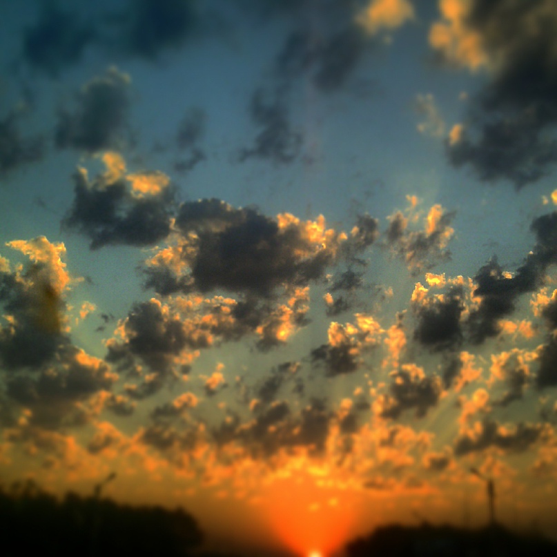 Алексей Денисов | Елец