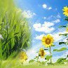 Татьяна Стома | Великий Новгород