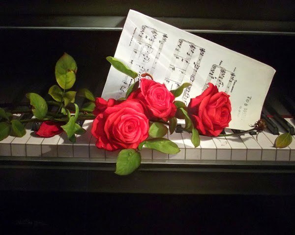 Михаил Сурков | Санкт-Петербург