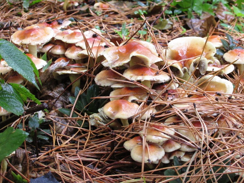 Ольга Морозова | Мариуполь