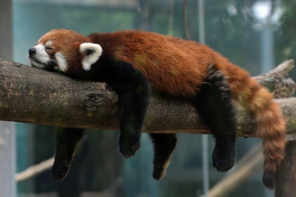 Дмитрий Горбачёв | Глубокое