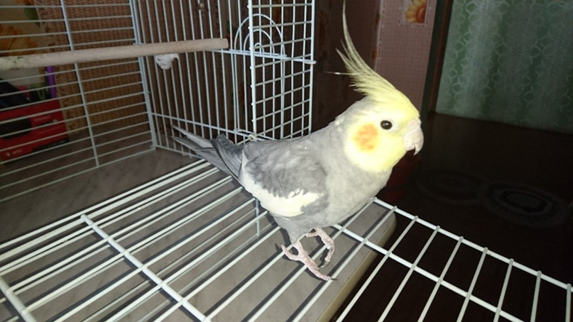 Марина Белякова | Череповец