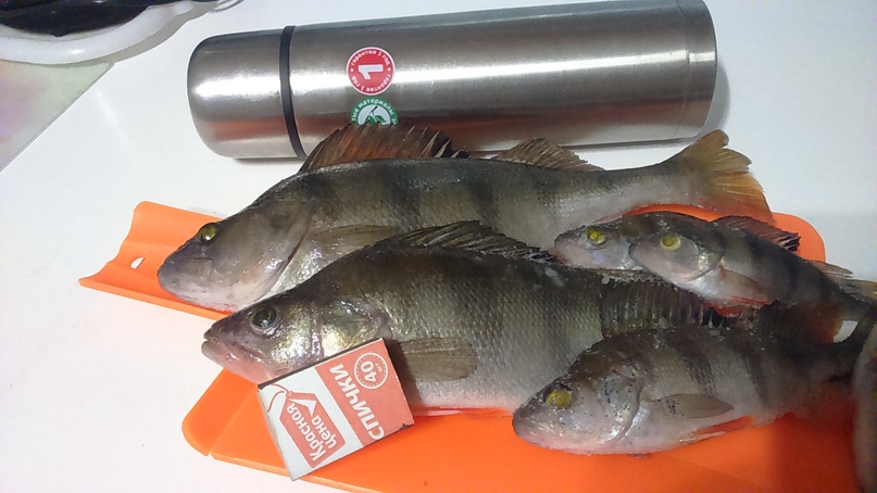 Руслан Смирнов | Новочебоксарск