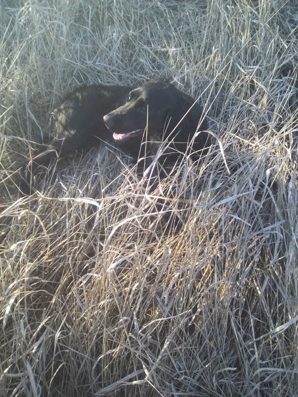 Виталий Перец | Шахтерск