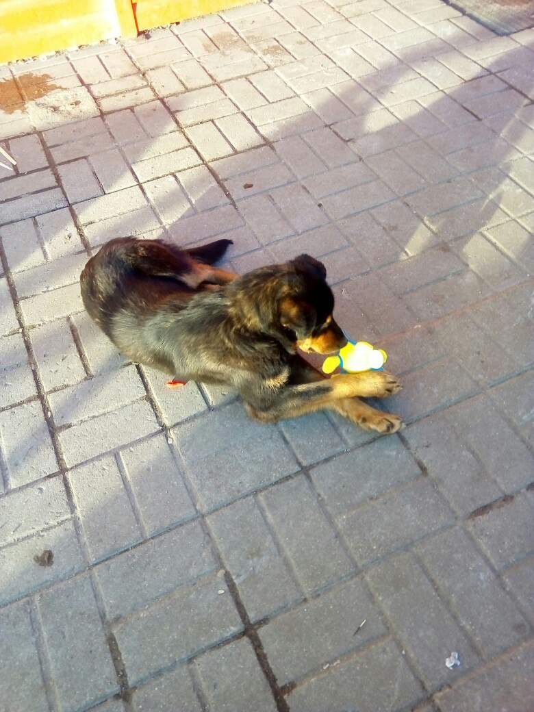 Юлия Елкина | Ярославль