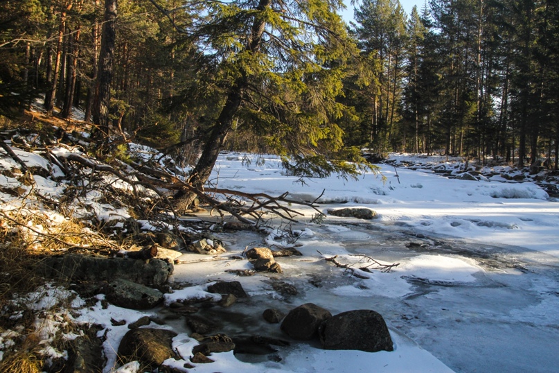 Елена Беседина | Алтайское