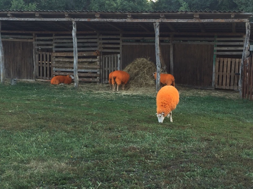 Наталья Веретенникова | Долгоруково
