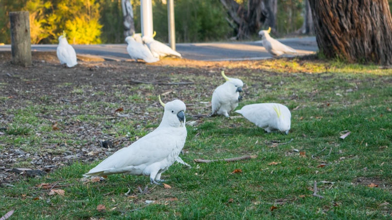 Filipp Kashuro | Санкт-Петербург
