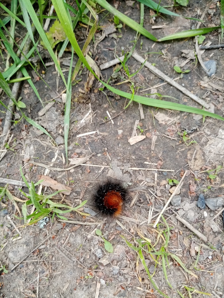 Лена Полякова | Самара