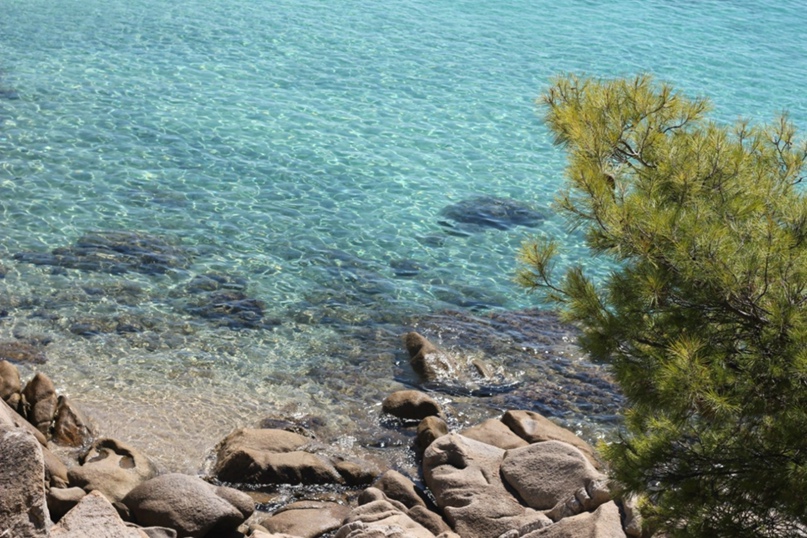 Алексей Ермолин TheC@t | London