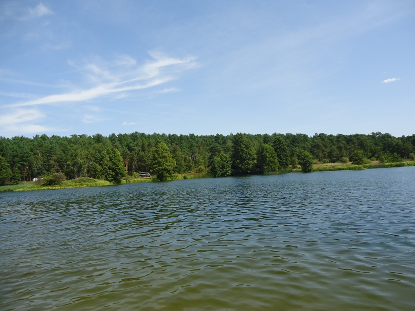 Ксюша Прохорова | Ровно