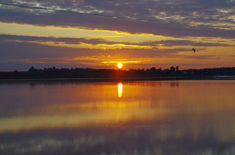 Андрей Ермолаев | Красногорск