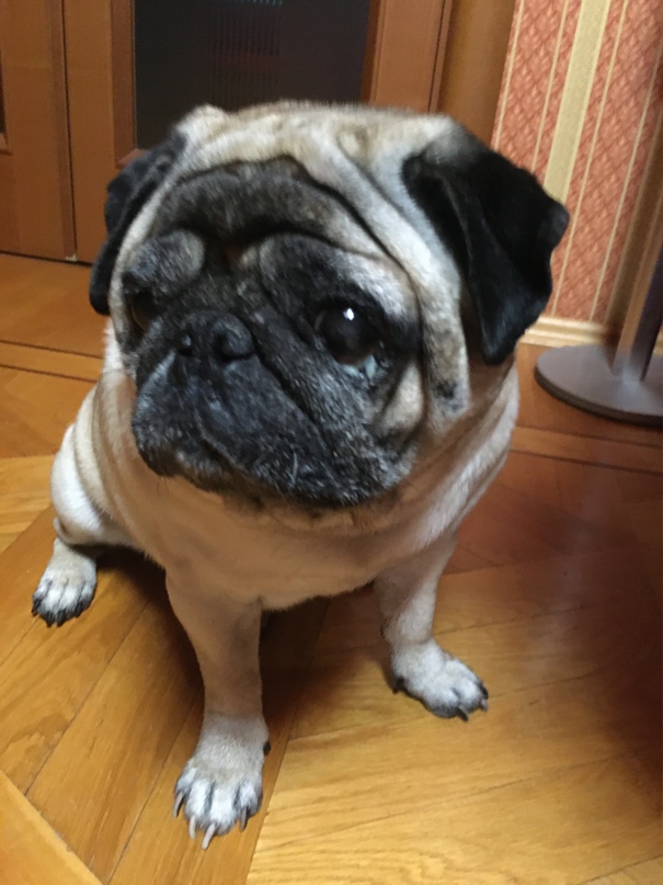 Игорь Танк | Киров