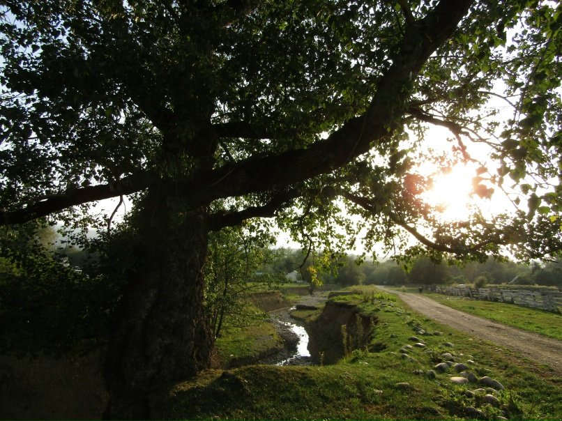 Елена Московская | Санкт-Петербург