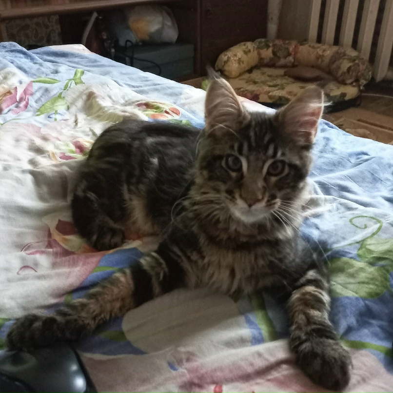 Светлана Дегтярева | Москва