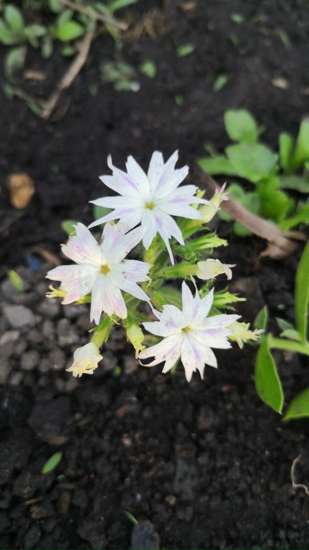 Марина Ситникова | Миасс