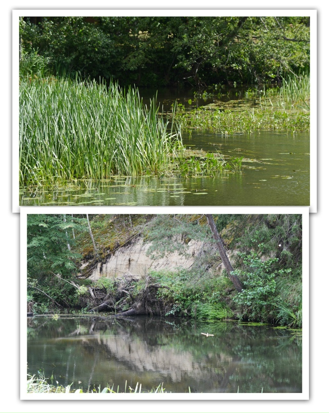 Наталия Филиппова Melvarade | Тарту