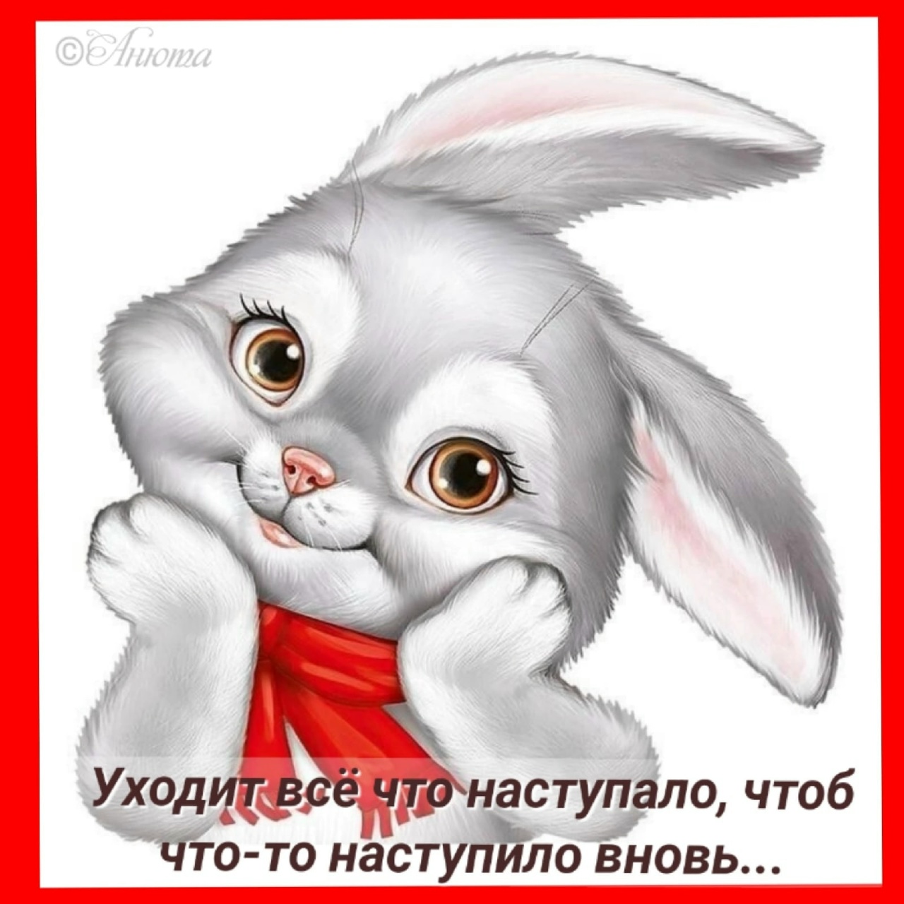 Картинки зайчиков для детей