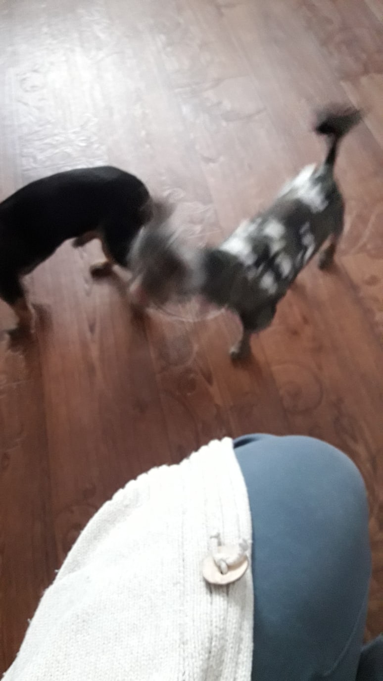 Ирина Щёкотова | Новочебоксарск