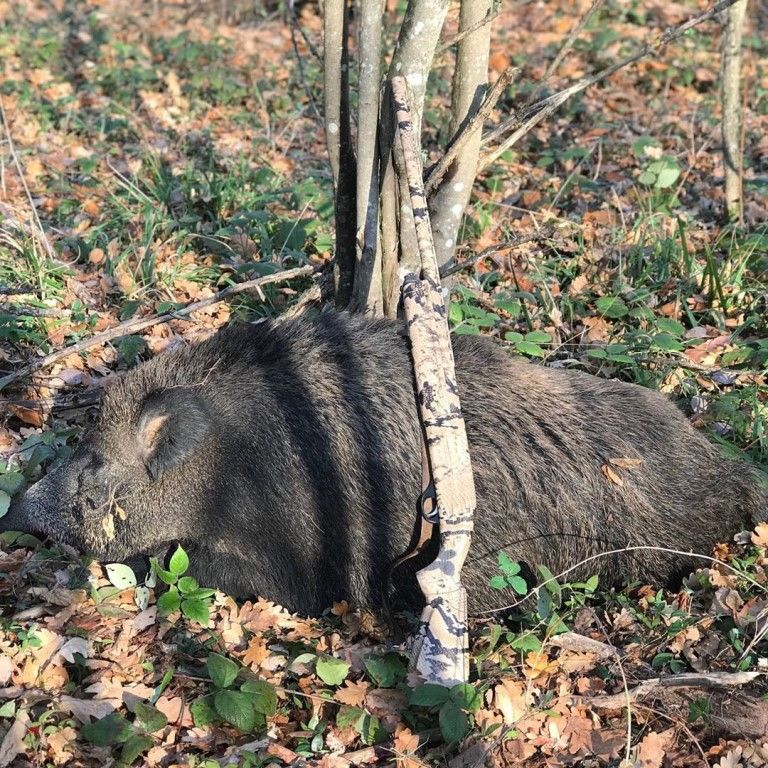 Кабан куба Кабан куба