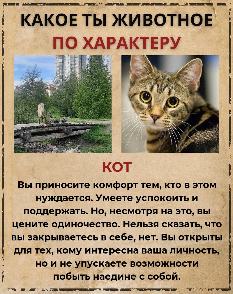 Юлия Пермякова | Красноярск