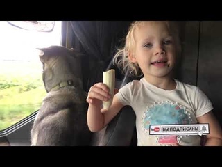 Эвакуация