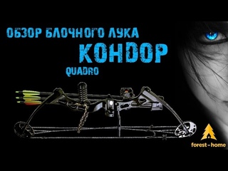 Обзор блочного лука Кондор Quadro PKG от магазина Forest-Home