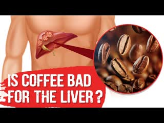 Is Coffee Bad For Liver  Dr. Berg