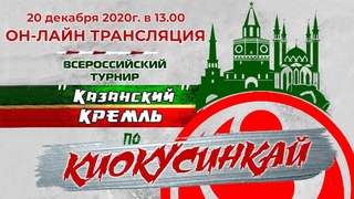 Прямая трансляция Всероссийского турнира по Киокусинкай  Казанский Кремль   Татами 2
