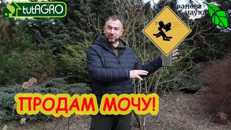 СКОЛЬКО СТОИТ ВАША МОЧА Как из мочи извлечь прибыль и
