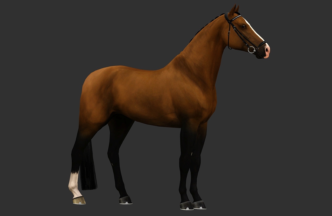 Horse image