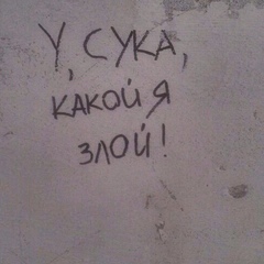 Серега Иванов : профиль, фото, статус - ВКонтакте