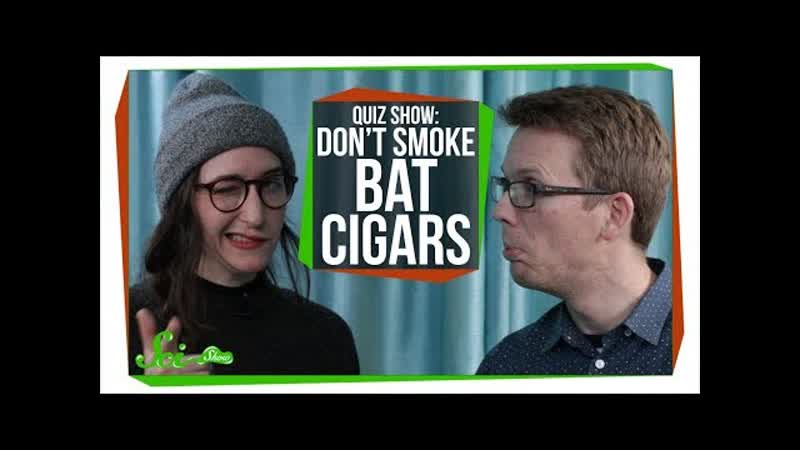 Scishow Quiz Show: Supersonic Giggles and Bat
