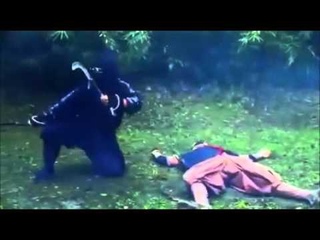 Ninja Shadow Warrior 3