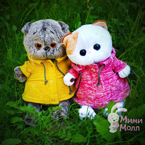 Кот басик и зайка мими. Басик и лиля. Басик и лиля. Свадебный наряд для басика. Свадебный наряд для басика.