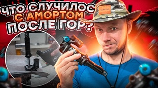 ЧТО СЛУЧИЛОСЬ С АМОРТИЗАТОРОМ ПОСЛЕ 8 МЕСЯЦЕВ КАТАНИЯ В ГОРАХ БЕЗ НУЛЕВОГО ТО