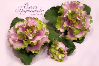 Фиалка Ле - роза ветров МК от Ольги Грушенковой