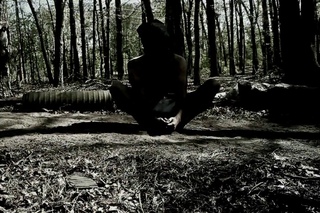 Netra | Crawling