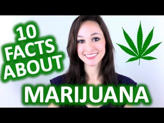 10 Interesting Facts About Marijuana