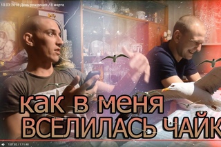 Чайка полетела / Игра Alias / Смех