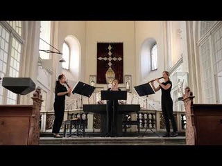 J.J. Quantz - Sonata in F Dur, II. Largo (Bux Ensemble)