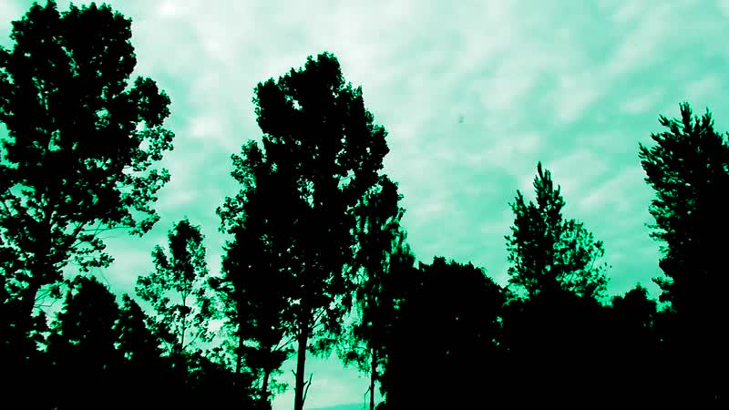 July 7 2020 4DS
