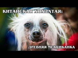 youtube_video_164299328-2021-09-20-14-30-03