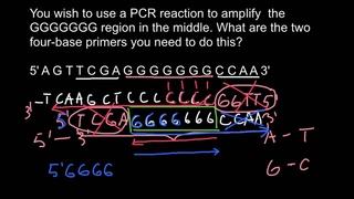 How to design primers for PCR