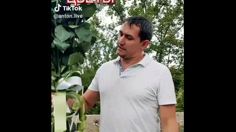 VID_21030627_181819_161.mp4
