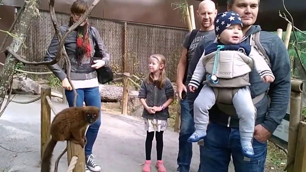 МОЙ МИР. С ВАМИ ЛАДА. ESKILSTUNA. PARKEN ZOO. В гостях у